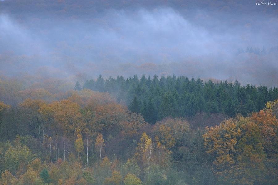 Ardennes