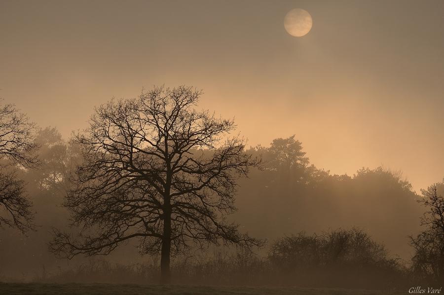 Paysage